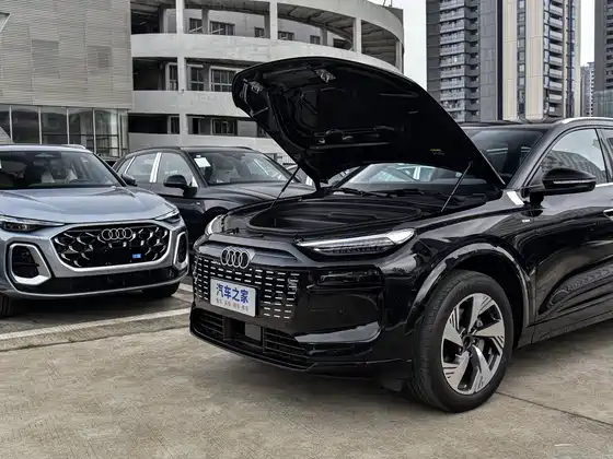 أودي Q6 إي-ترون 672 كم لونج — 14