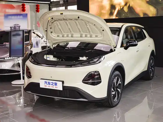 Changan Q05 506 Max — 13