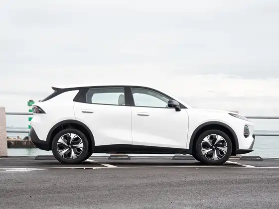 Changan Q05 506 Max — 8