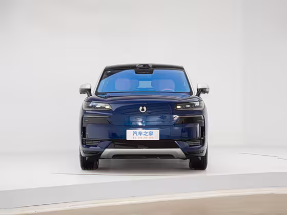 Denza N9 (4098) Premium Model — 2