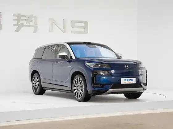 Denza N9 (4098) Premium Model — 3