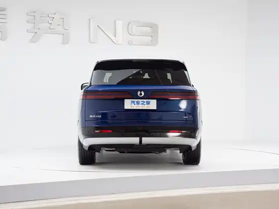 Denza N9 (4098) Premium Model — 6