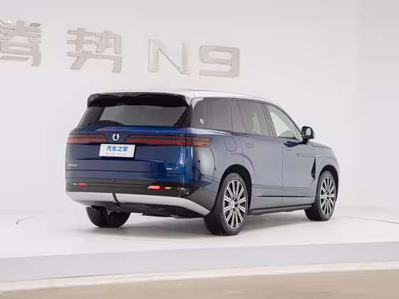 Denza N9 (4098) Premium Model — 7