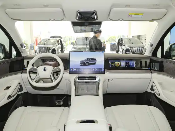 Denza N9 (4098) Premium Model — 11