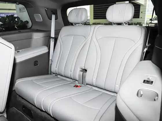 Denza N9 (4098) Premium Model — 13