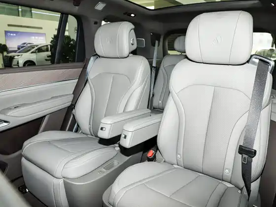 Denza N9 (4098) Premium Model — 10