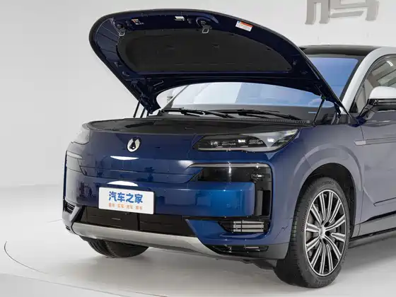 Denza N9 (4098) Premium Model — 14