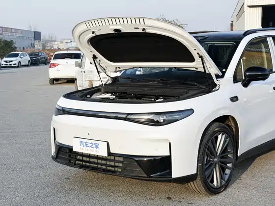 Leapmotors C16 280 Lidar Premium 6 seats (Hybrid) — 13